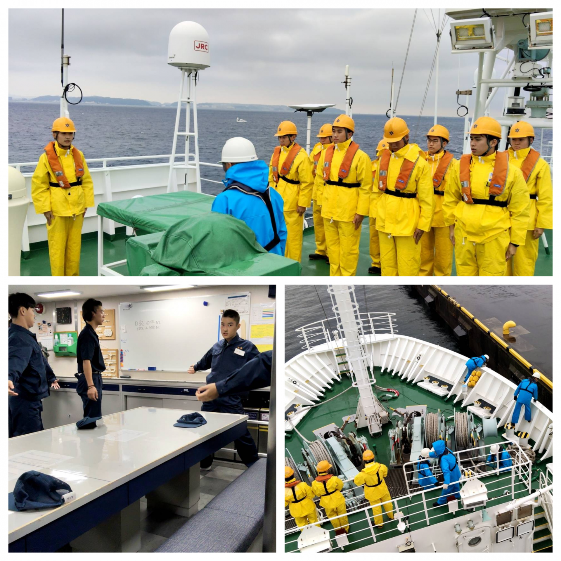 Blank 3 Grids Collage - 2025-11-09T151626.549